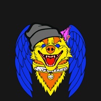 Hyper Husky 00288