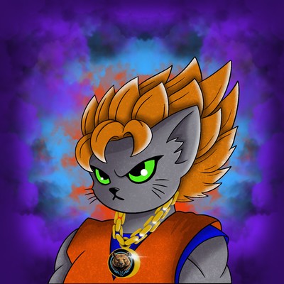 Kitty Ball Z  6203
