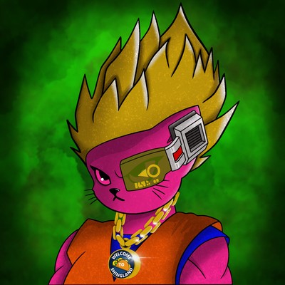Kitty Ball Z  6658