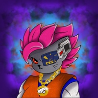 Kitty Ball Z  6740