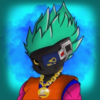 Kitty Ball Z  7144