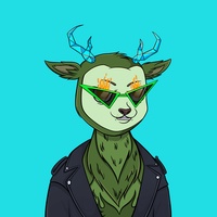 Fawn #1469