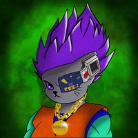 Kitty Ball Z  8069