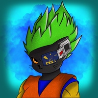 Kitty Ball Z  8191