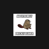 Beaver 03