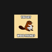 Beaver 06