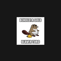 Beaver 20