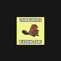 Beaver 21