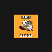 Beaver 25