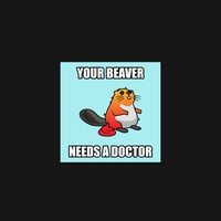 Beaver 35